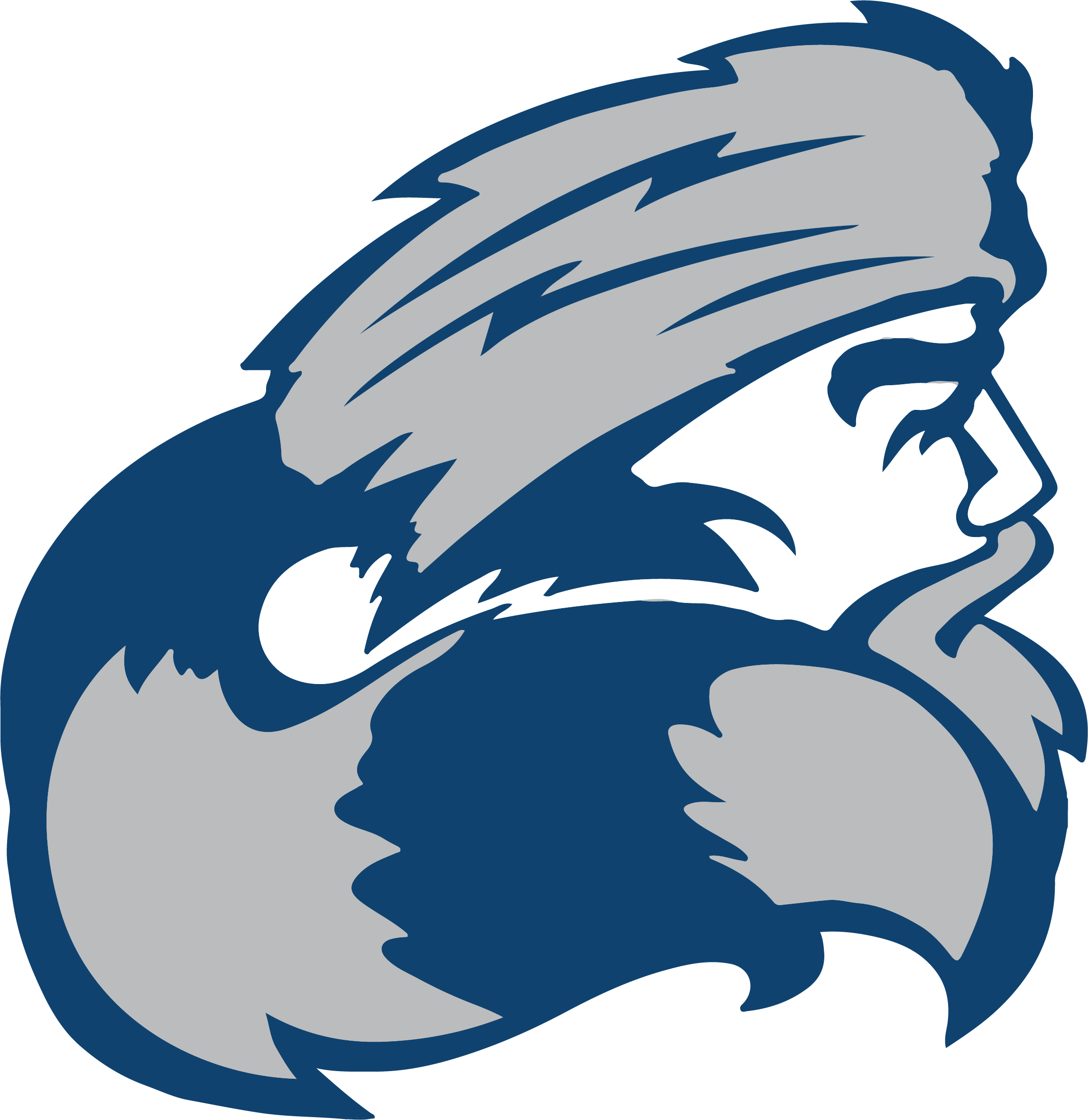 Buffalo Middle School Logo